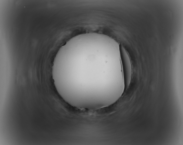 X0000083060961200703022130