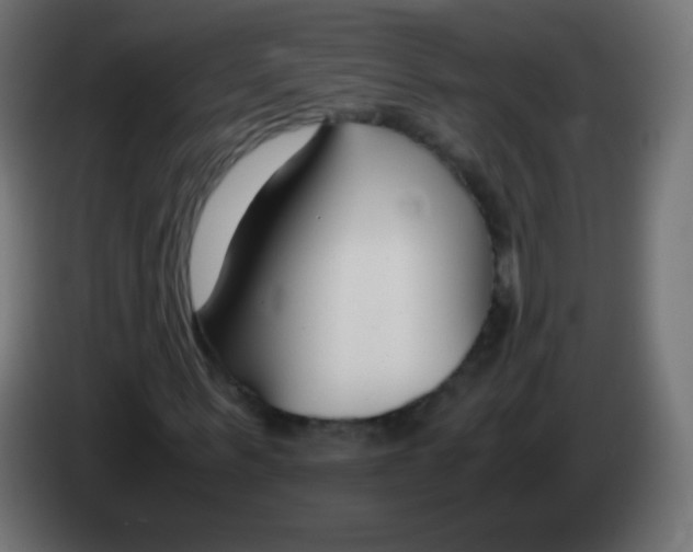 X0000083060963200703022130