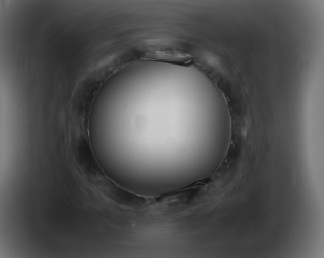 X0000083060965200703022130