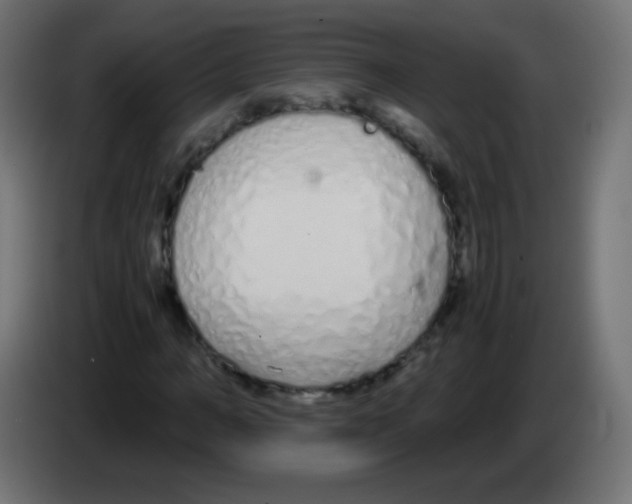 X0000083060966200703022130