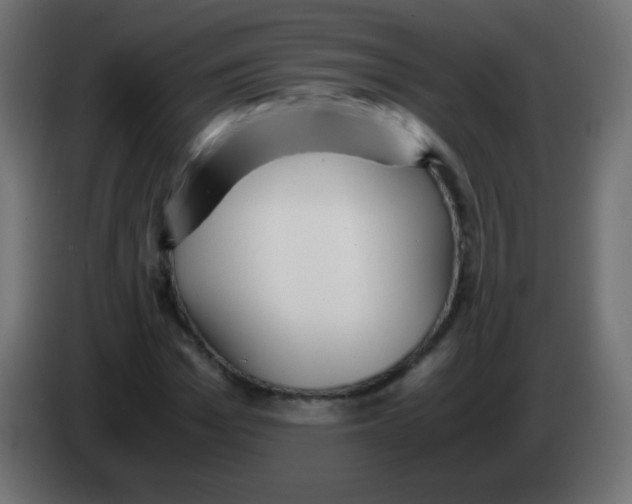 X0000083060969200703022130