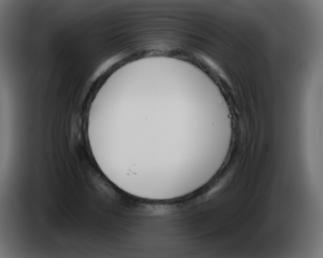 X0000083060970200703022130