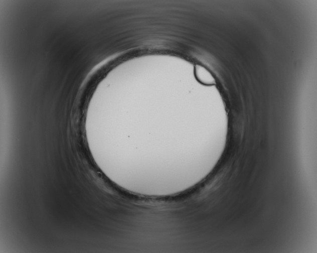 X0000083060971200703022130