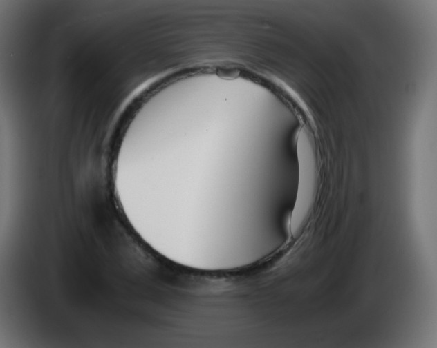 X0000083060975200703022130