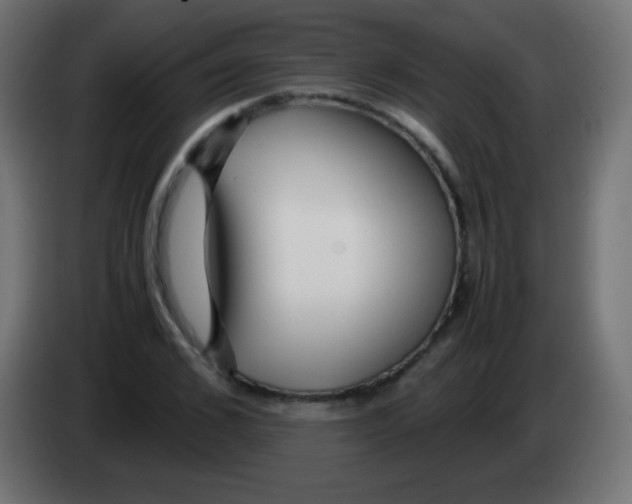 X0000083060976200703022130