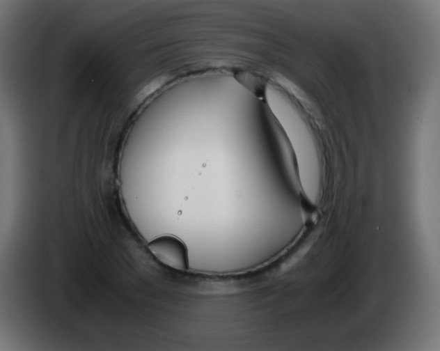 X0000083060977200703022130