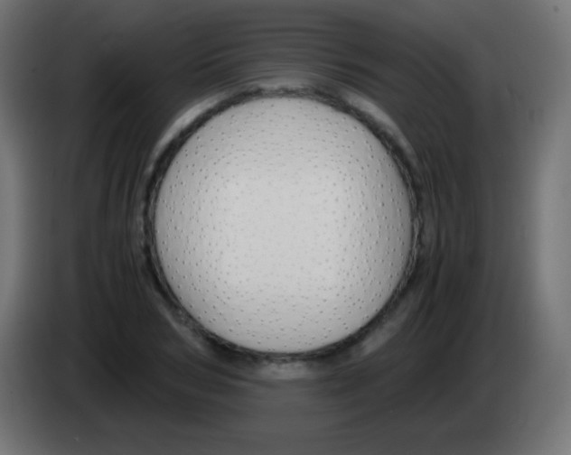 X0000083060978200703022130