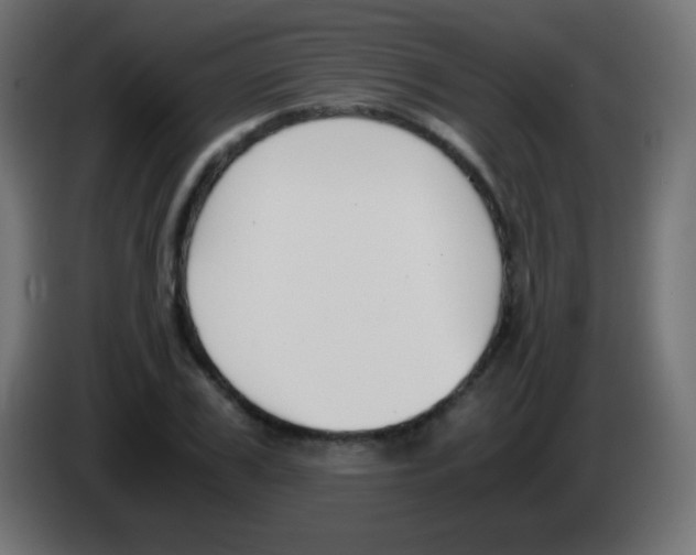 X0000083060979200703022130