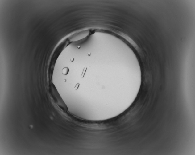 X0000083060980200703022130