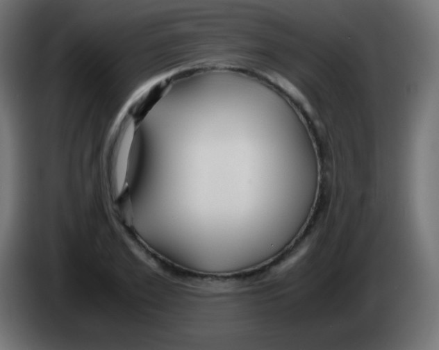 X0000083060981200703022130