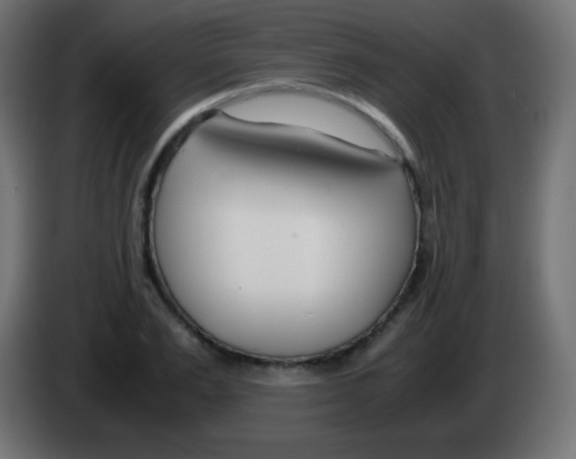 X0000083060983200703022130