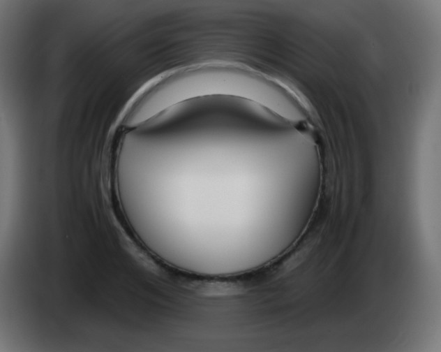 X0000083060984200703022130