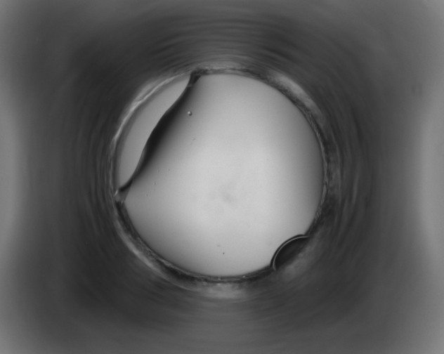 X0000083060986200703022130