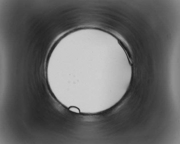 X0000083060988200703022130