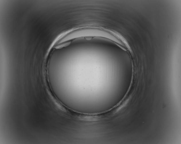 X0000083060989200703022130