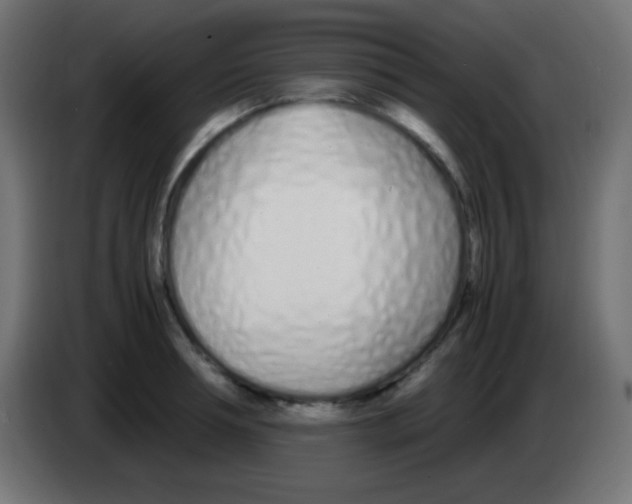 X0000083060994200703022129