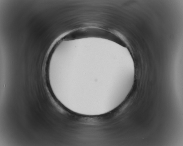 X0000083060995200703022129