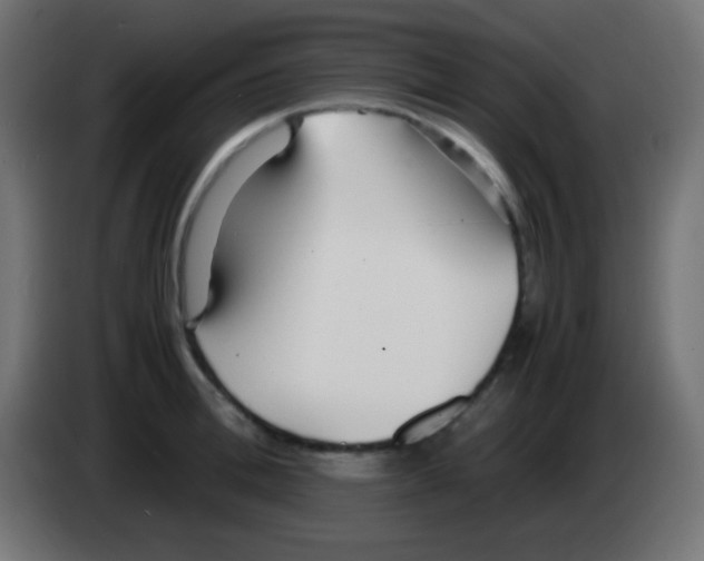 X0000083060996200703022129