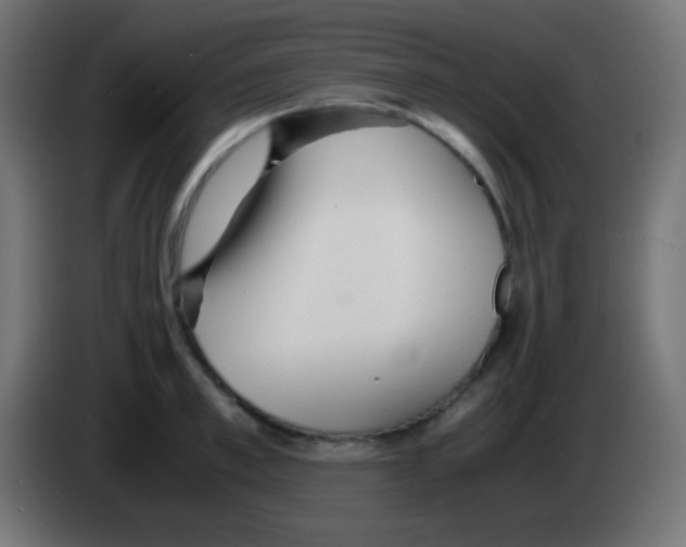 X0000083060997200703022129