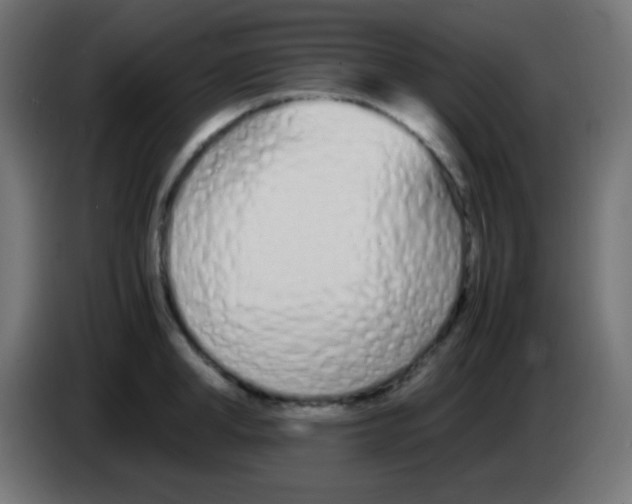 X0000083060998200703022129