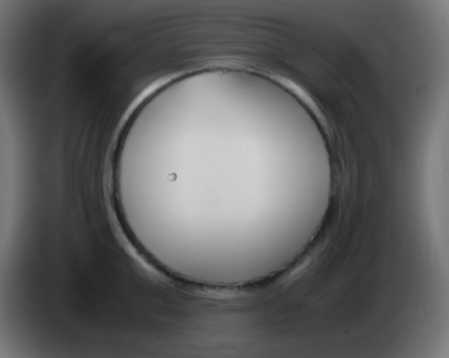 X0000083060999200703022129