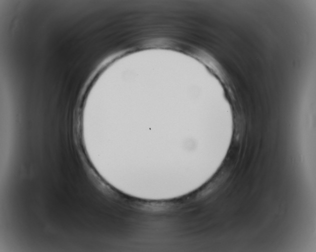 X0000083061000200703022129