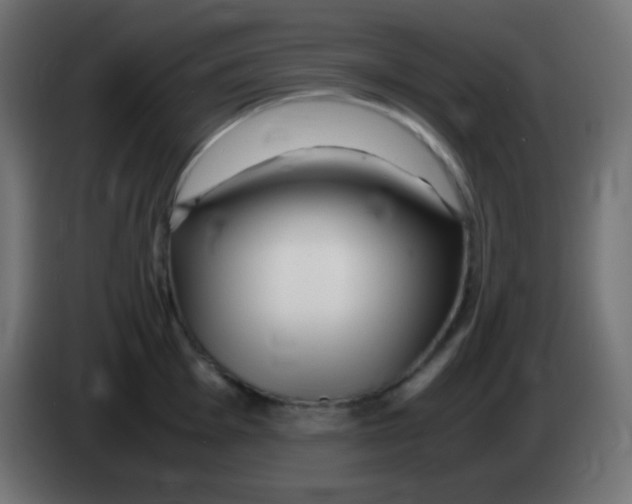 X0000083061001200703022129