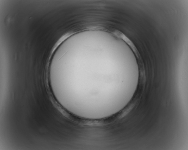 X0000083061002200703022129