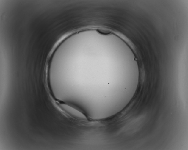 X0000083061006200703022129