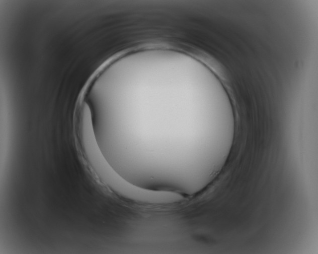 X0000083061008200703022129