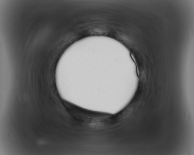 X0000083061009200703022128