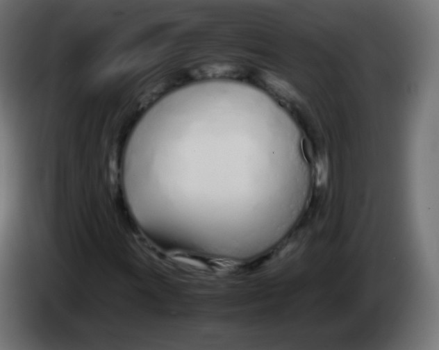 X0000083061011200703022128