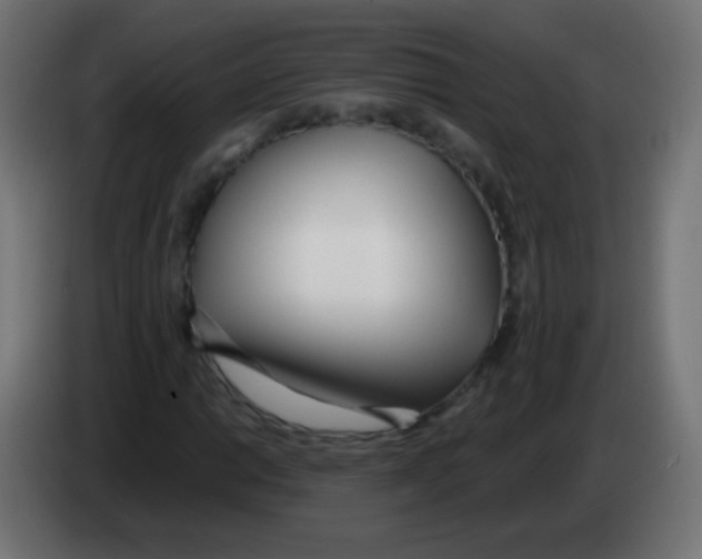 X0000083061014200703022128