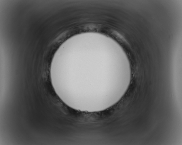 X0000083061015200703022129