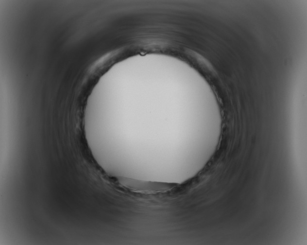 X0000083061016200703022129