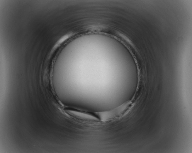 X0000083061018200703022129