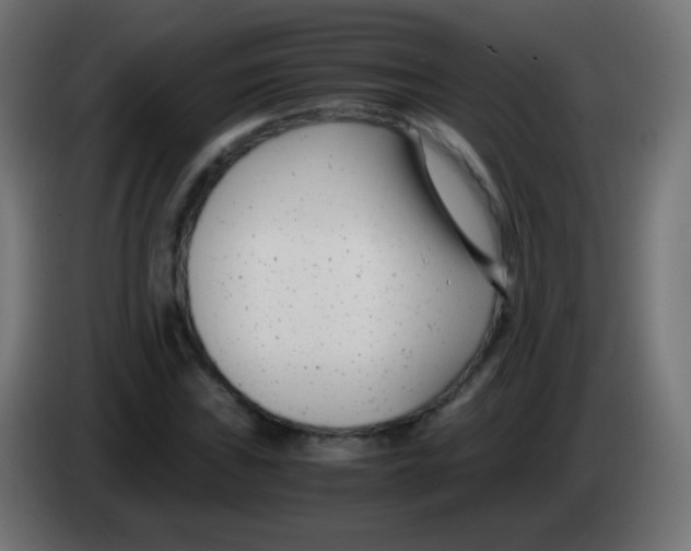 X0000083061019200703022129