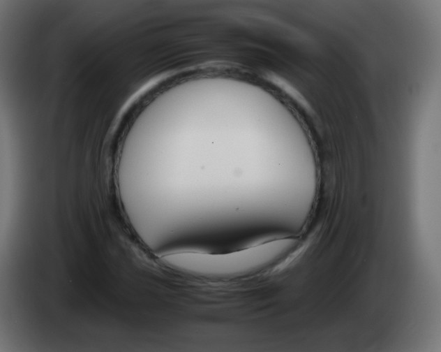 X0000083061021200703022129