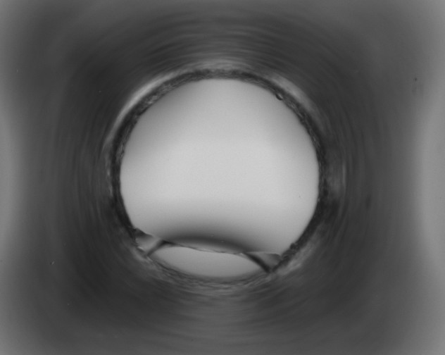 X0000083061022200703022129