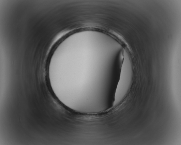 X0000083061024200703022129