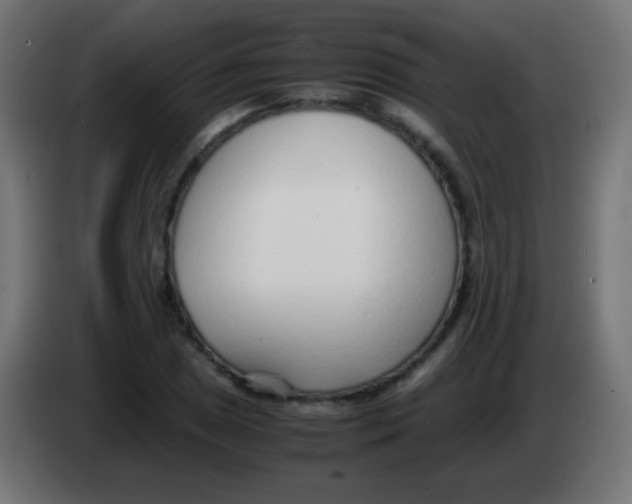 X0000083061025200703022129