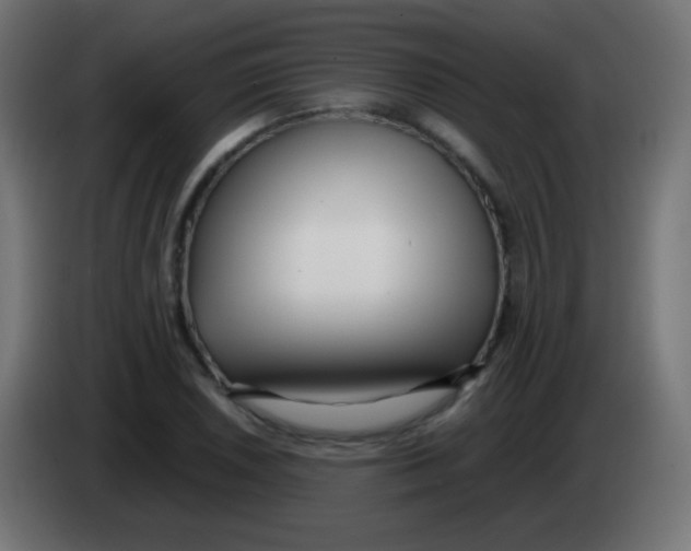 X0000083061026200703022129