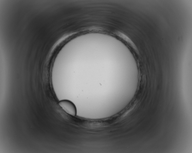 X0000083061027200703022129