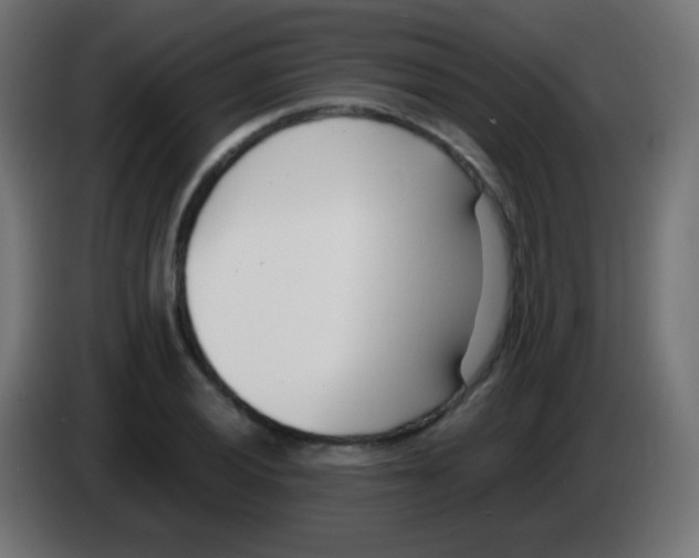 X0000083061028200703022129