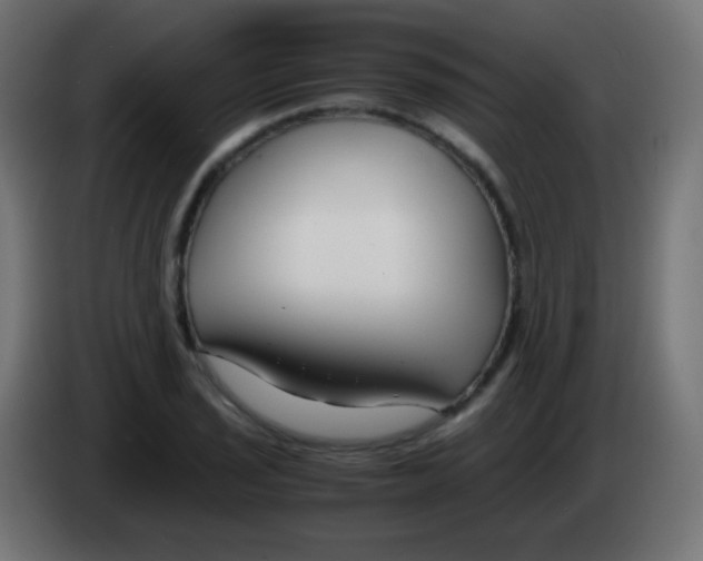 X0000083061029200703022129