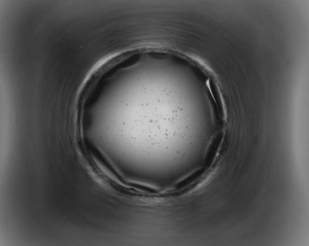 X0000083061030200703022129