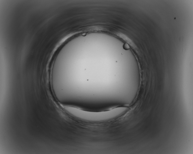 X0000083061031200703022129