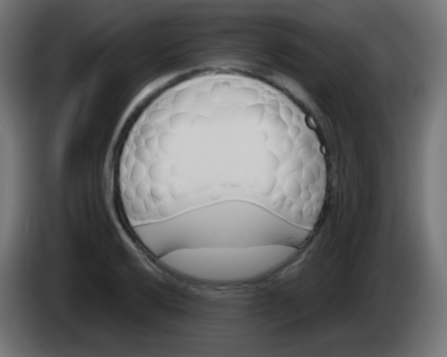 X0000083061032200703022129