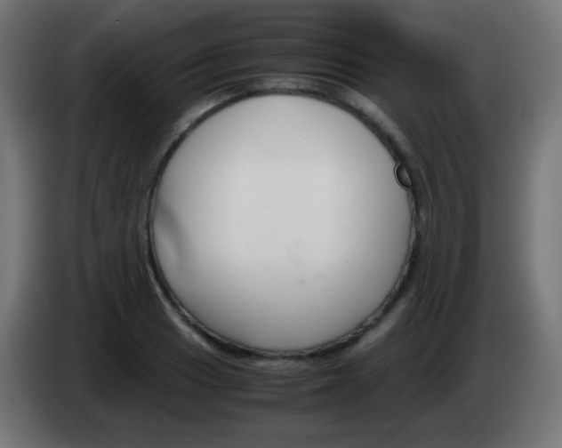 X0000083061033200703022129