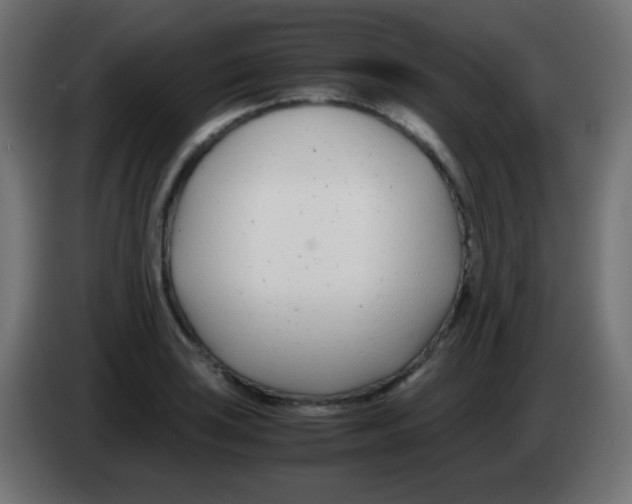 X0000083061035200703022129